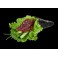 TEMAKI THON