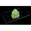 Wasabi