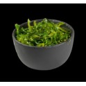 SALADE D'ALGUES